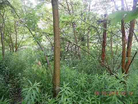 2549 Drexel (7)(1)_m.jpg